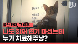울산 화재로 연기 흡입한 동물들, 저희 동물병원에서 무료로 치료해드릴게요