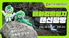 울산지속가능발전협의회, 비대면 탐사 태화강발원지 랜선탐방 개최