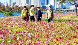 박태완 울산 중구청장, 태화강변 꽃단지 현장 점검