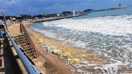 서생면 나사해안 이안제 예산 낭비…차라리 철거해야