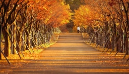 【렌즈 속 이야기】 문수구장의 늦가을 정취