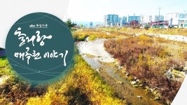 주민 통해 전해 듣는 북구 매곡천 일대 변천사
