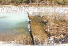 우유 통째로 뿌린 듯 탁해진 박상진호수공원 물 색깔 보고 시민들 깜짝