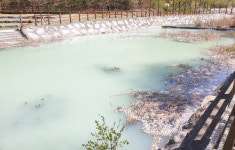 우유 통째로 뿌린 듯 탁해진 박상진호수공원 물 색깔 보고 시민들 깜짝