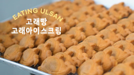 [잇힝울산] 고래빵&아이스크림 만들기 l [Eeating Ulsan] Whale Bread & Icecream Baking vlog ㅣ Korean street food