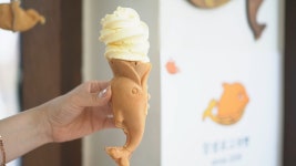 [잇힝울산] 달콤한 고래가 내게 찾아왔다, 부드럽기까지 하다