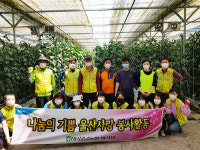 삼남농협 임직원 농촌일손돕기 실시