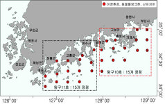 봄철 멸치 알과 자어 발생량 대폭 증가