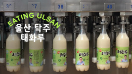 울산 탁주·태화루 막걸리 공장 / [잇힝울산, Eating Ulsan] Ulsan Taehwaru raw ricewine