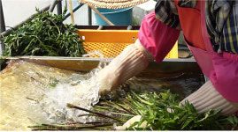 잇힝울산 (9) 향긋함과 건강함이 담긴 울산 선바위 미나리즙