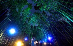 태화강국가정원 은하수길에서 여름밤 추억만들기