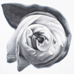 지역의 청년작가들 10명  각자  조형언어 표현 멈추다, 나아가다전