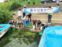 양산시, 수산종자 잉어·붕어 34만미 방류