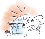 [반구대] GSR(Gae So Ri) 국회의원