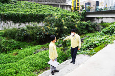 박태완 울산 중구청장, 태풍 찬투 대비 현장 점검