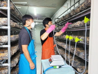 울주형 스마트팜 단지, 컨트롤타워 역할·관광 효과 기대