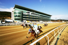 부경경마공원, 트리플크라운 첫 관문 KRA컵 마일 10일 개최