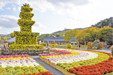 세계문화유산 통도사와 함께하는 2021양산국화전시