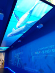 고래도시 울산, 고래바다쉼터 1번지를 꿈꾼다 (5)수족관이 비워져도 고래는 있다