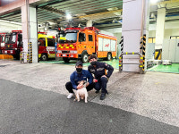 울산동부소방서, SNS로 길 잃은 반려견 주인 찾아