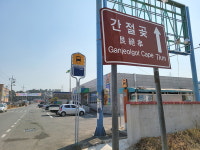 동해선 개통 두달… 관광 분위기 띄우는 부산, 울산은 연계교통 부실