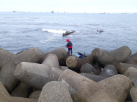 비 젖은 방파제에도 낚시객 발길 이어져