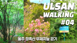 [4K vlog] 울산의 아마존서 숲멍 풀멍 즐기고 왔습니다 울주 무제치늪 걷기 [울산 워커홀릭, Ulsan Walkaholic]｜walk with me