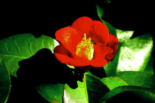 울산사진동호회 굿포토클럽 열번째 회원전