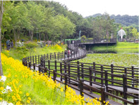 울산대공원 9경, 구경하러 오세요