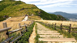 울산매일UTV 기획 울산 워커홀릭 - 강심장만 걸을 수 있는 곳! 한번쯤 도전해보고 싶은 칼바위