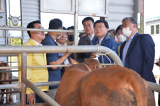 이순걸 울주군수, 울산축협가축시장 방문