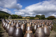 【 렌즈 속 이야기】 제주 돌문화공원의 가을