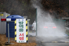 삼동면 농장 고병원성 AI… 인근 9천마리도 살처분