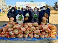 울산북구시니어클럽, 어르신이 직접 기른 김장배추 나눔 행사