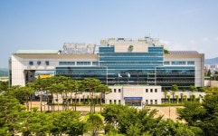 울산 북구, 국도31호선 무룡로 교통체증구간 도로 개선키로