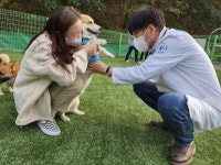 남구 애견운동공원, 반려동물 위한 검진센터·문화교실 무료 운영
