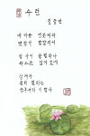 【 박영식 시인 육필의 향기] (283)김금만 시인 수련】