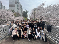 울산과학대학교 한국어 연수생들의 벚꽃 구경