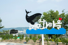 밤이 더 화려한 울산 장생포로 놀러오세요