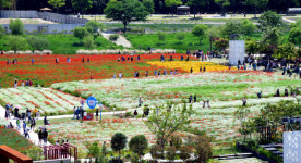 태화강국가정원서 봄꽃 향기 만끽하세요