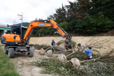 내달 완공을 앞두고 있는 도시바람길숲 구간