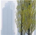 울산문예회관,2024올해의 작가 개인전 참여작가 5명 선정