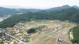 [김진영의 울산여지도-46] 석천, 노방을 병풍으로 두른 회야의 심장