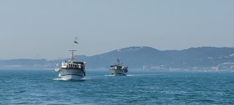 울산신항 건설로 온산 앞바다 황폐화 … 생계 유지 막막