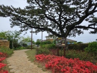 울산 동구, 주전 생활환경숲 조성사업완료
