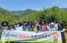 양산시새마을회-양산시 농업기술센터 직원, 농촌일손돕기 봉사활동