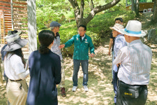 울산시의회, 솔마루길 지속가능한 숲길로 조성해야