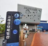 돌고래 더 가까이서 만나요...울산 고래생태체험관 휴관