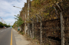 산들바람에도 돌 후두두···방어진순환도로 낙석 위험천만