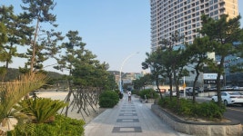 왕의 휴양지 변모 급물살···일산해수욕장 해양산책로 대대적 확장